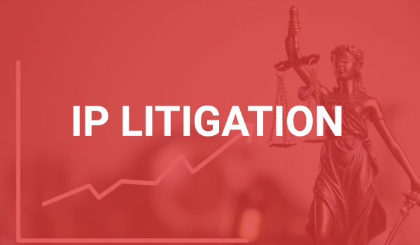 IP Litigation